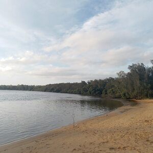 Ashore Again