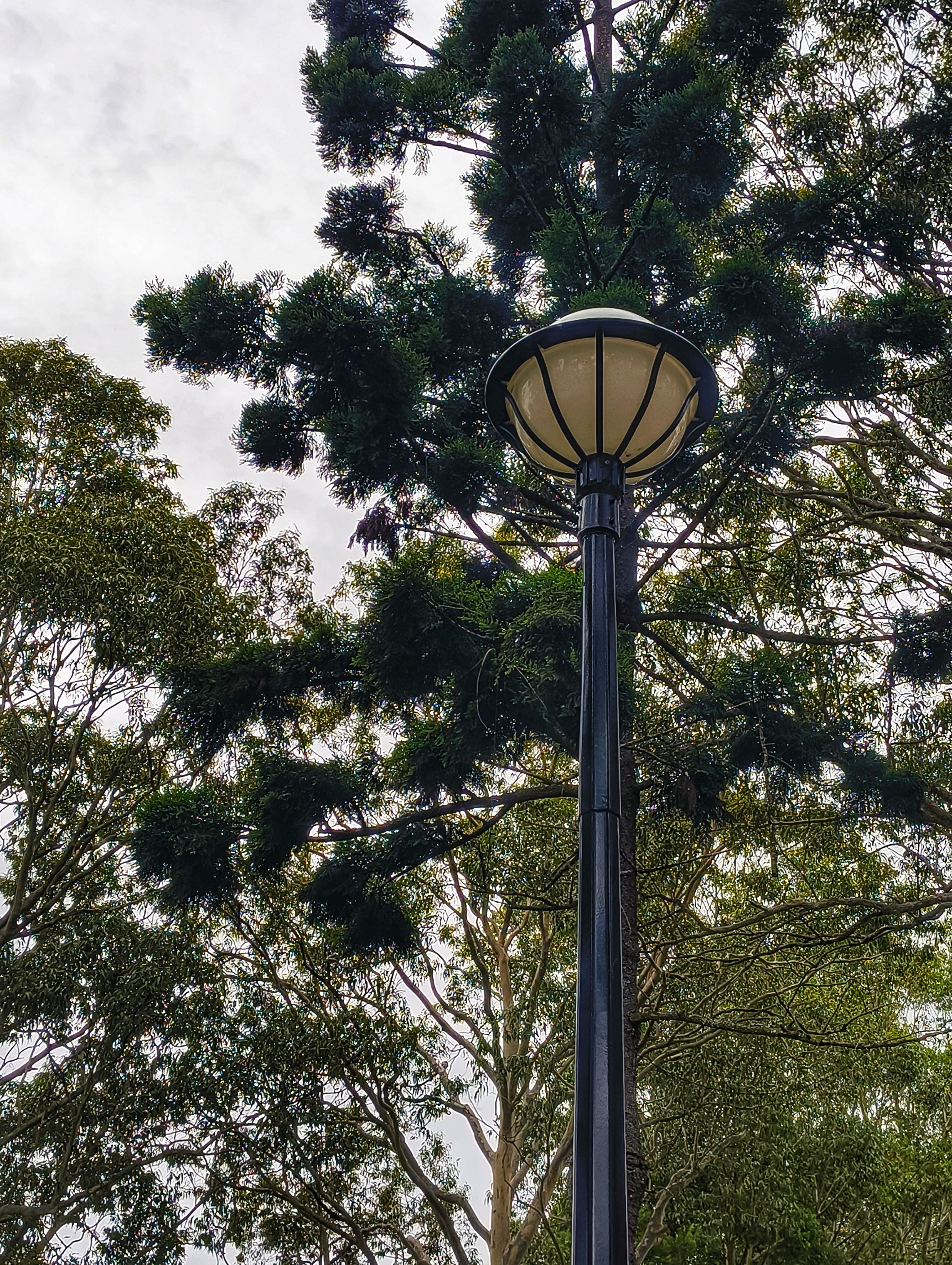 Beacon