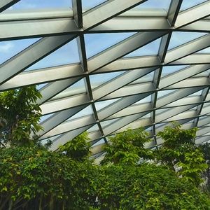 Canopy