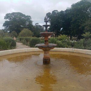 Fountain of Youth