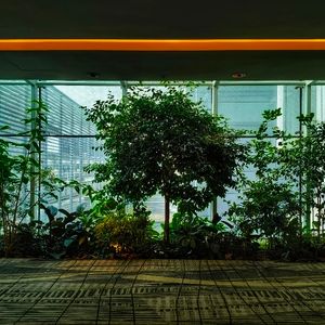 Greenhouse