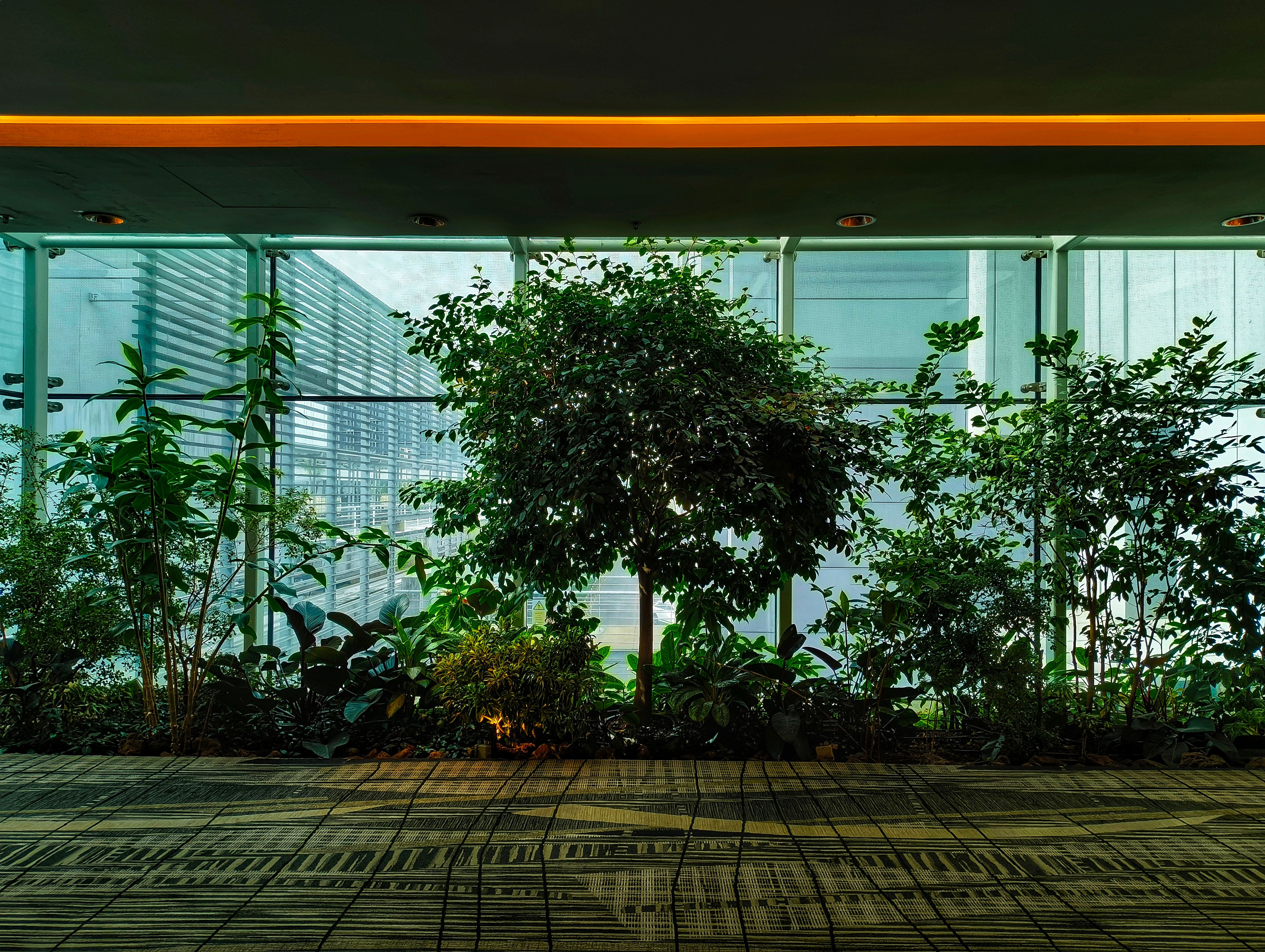 Greenhouse