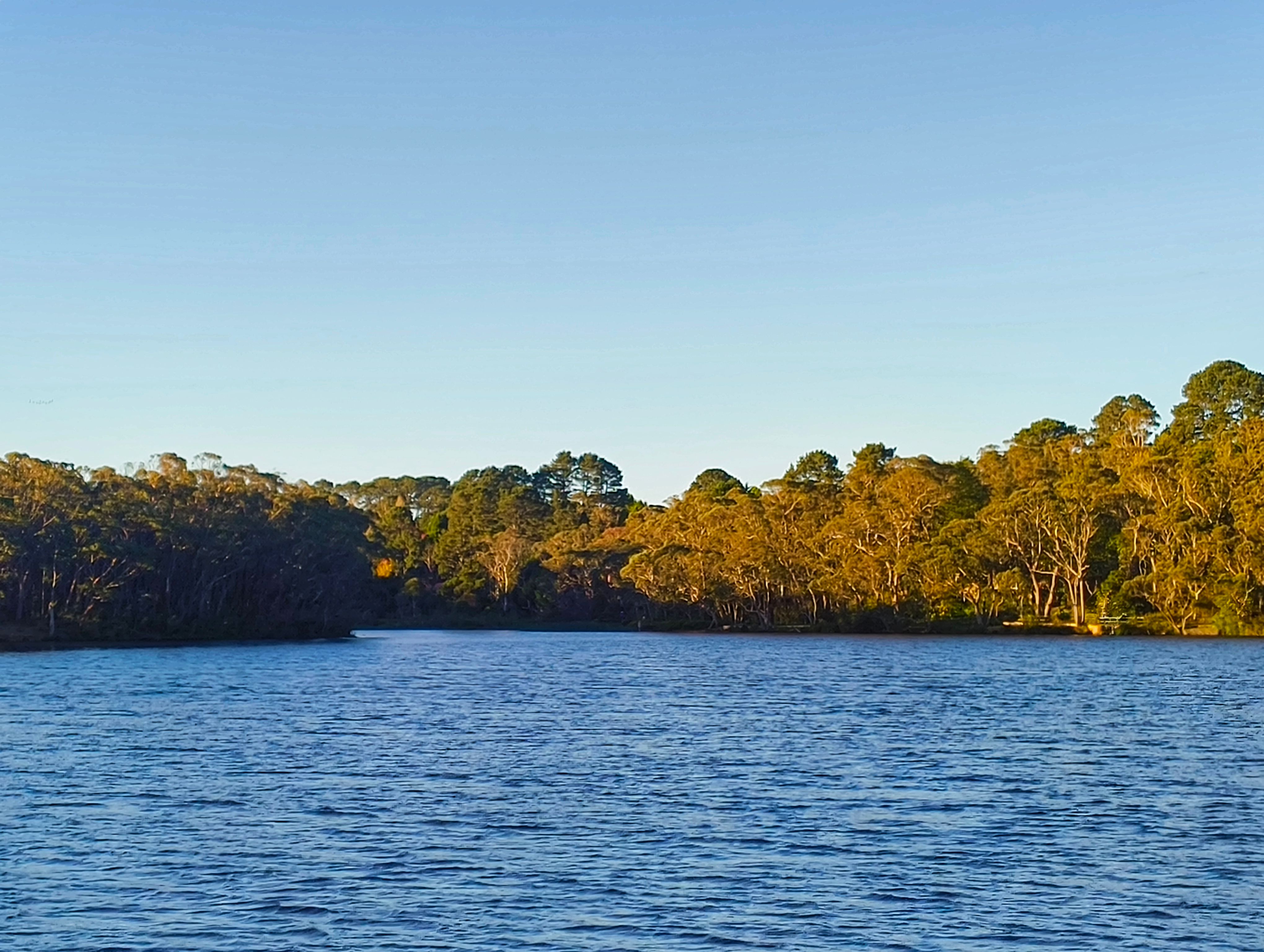 Lakeside
