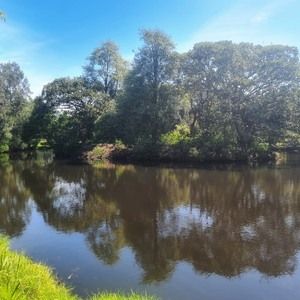 Meander