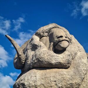 Merino