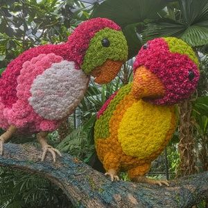 Polly