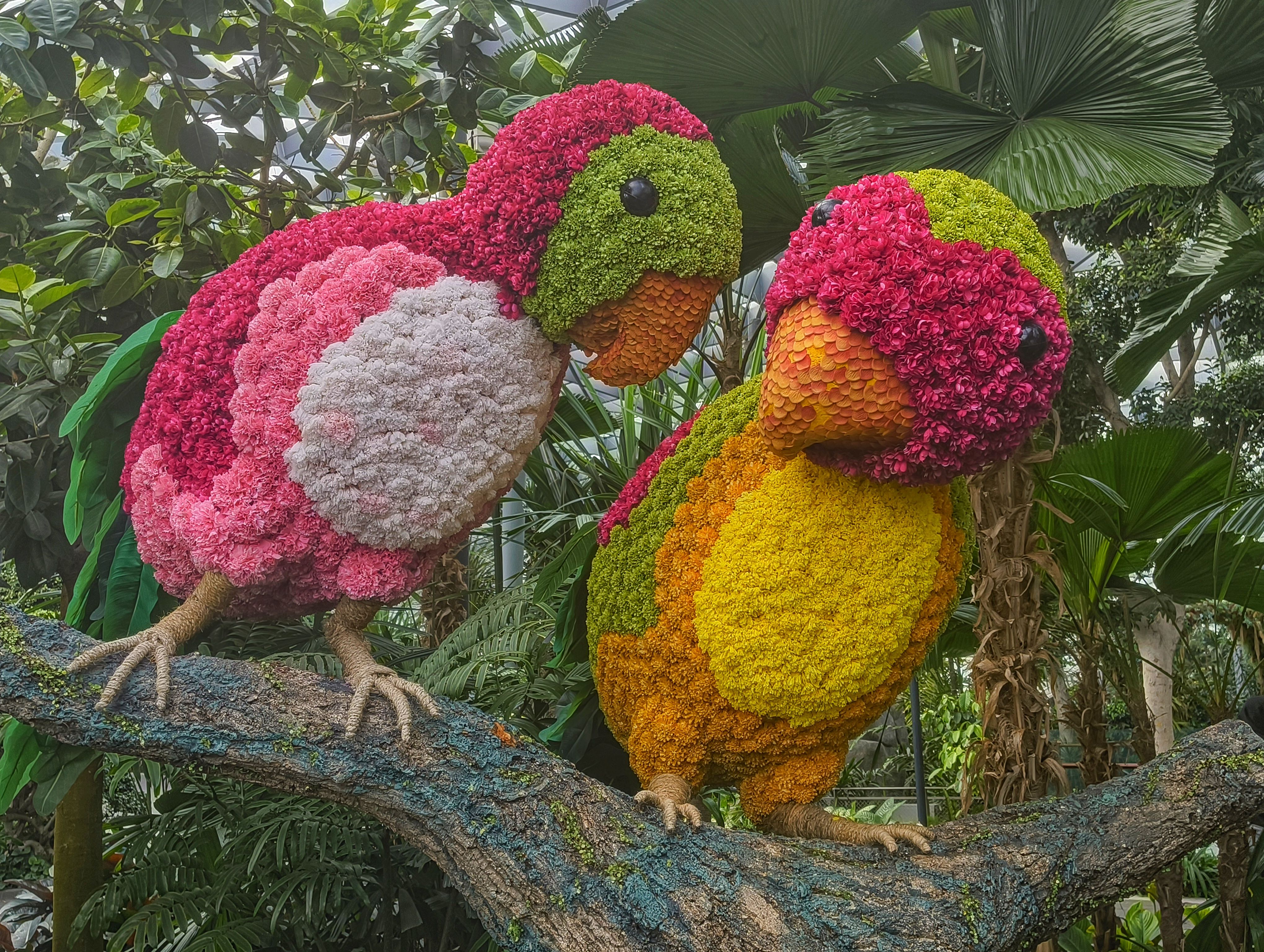 Polly