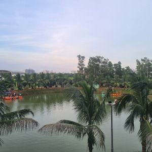 Regatta