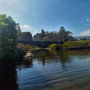 Summer Lake